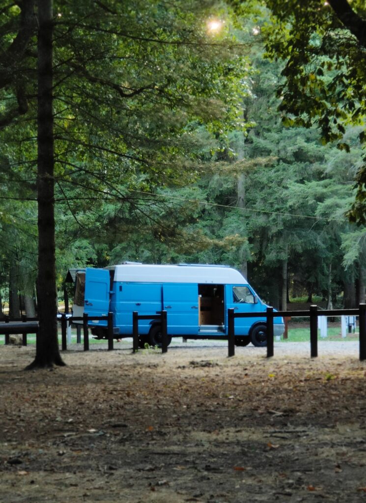 Iveco 35-8 bleu sur un parking dans une forêt